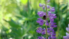 Also took some shots