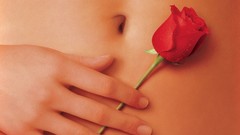 American Beauty navel roses