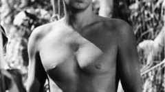 American jungle swim outdoors