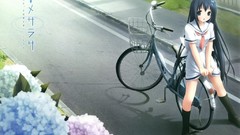 Amesarasa chiyokawa rin