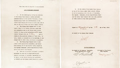 Amidoinitrite surrender