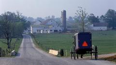 Amish Buggy high