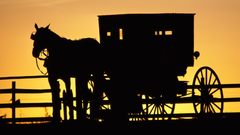 Amish horse Drawn Buggy