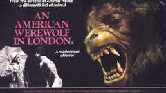 An american werewolf in