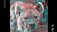 Anaglyph