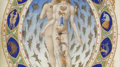 Anatomical man Book illustrations