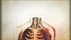 Anatomy human body House