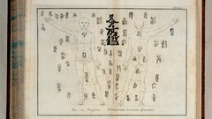 Anatomy human Books hieroglyphs