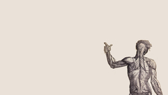 Anatomy human human body