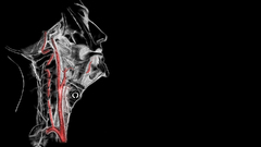 Anatomy reposting old thread