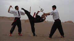 Ancient martial arts iran artwork parthowa partoa iranian 