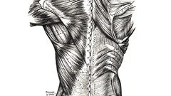 And medicine anatomy dcdb