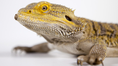 And search are these did 171