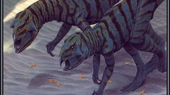 And sinornithoides Rawr high