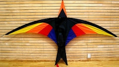 Anders Firebird high Car