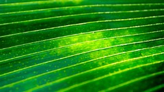 Android motorola Razr-i