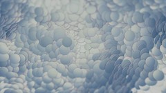 Android nexus jelly bean