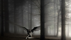 Angel More like This seraphx