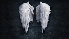 Angels wings blood stones