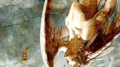 Angels wings falling down