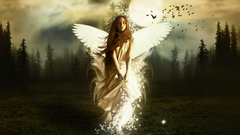 Angels woman wings Garden