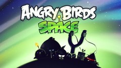 Angry angry birds outer space