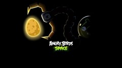Angry birds angry birds space