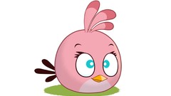 Angry birds video games rovio pink bird