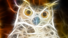 Animal ceiling cat rly