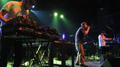 Animal Collective concert