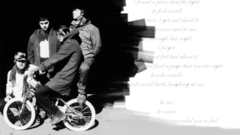 Animal collective Music and