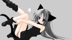 Animal ears com panties konachan catgirl sakurazawa