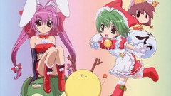 Animal ears di gi charat