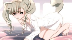 Animal ears itsuki tails Navi