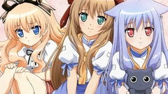 Animal ears mayoi neko