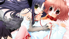 Animal ears pure pure