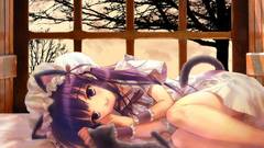 Animal ears tsukuyomi moon