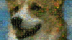 Animal for dog looking welsh corgis highhires