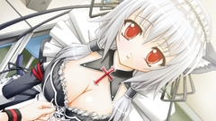 Animal red ears com maid cleavage konachan catgirl