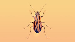 Animals abstract insects digital art vectors justin maller 