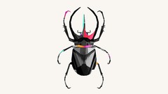 Animals abstract scarab digital art vectors justin maller