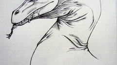 Animals animal world draws Sketchbook Komodo dragons Zoar 