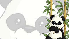 Animals bamboo panda bears