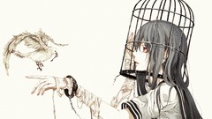 Animals Birds Birdcage schoolgirls long hair pink eyes anime 
