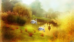 Animals Birds paintings Swans lakes artwork digital art water 