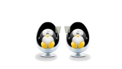 Animals Birds Penguins white background Men in Black parody 