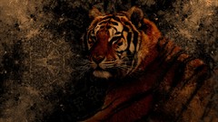 Animals black abstract brown grunge Tigers grunge background