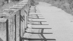 Animals black clouds red Men white warning hats railroad tracks 