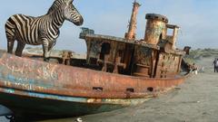 Animals boat zebra Photoshop