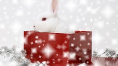 Animals Bunnies sparkles Christmas gifts Christmas ornament